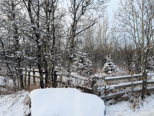 乡下的冬天图片下载