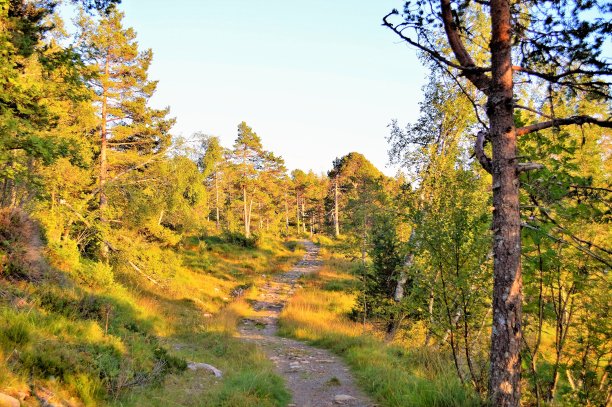 挪威的农村。图片下载