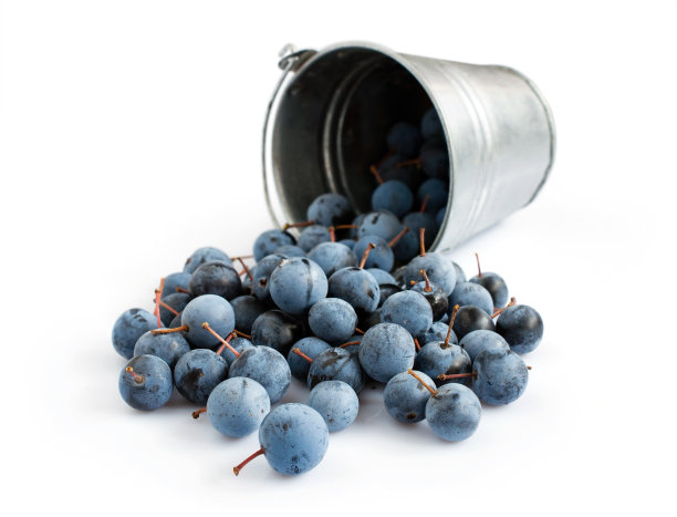 布莱克索恩在桶里图片下载