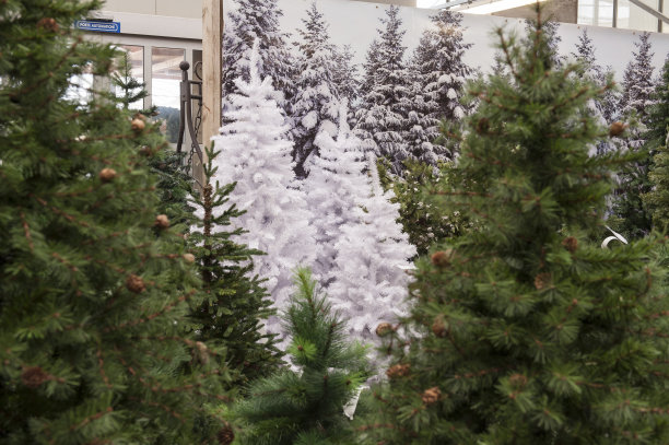 圣诞装饰品图片下载