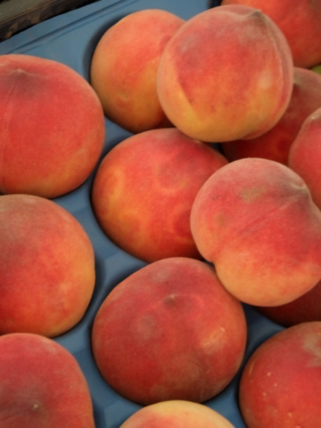 桃子出售图片下载