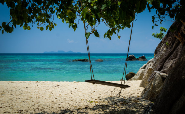 摇摆不定的图片下载