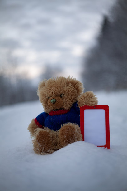 泰迪熊在蓝色套衫持有空白垂直框架图片下载