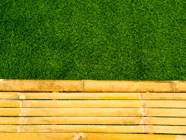 陈年的棕色和黄色竹子与新鲜的绿草背景。图片下载