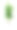 一种隔离于白色之上的盆栽植物图片下载