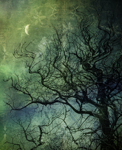 天空的倒影图片下载