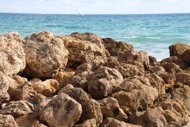 佛罗里达大西洋边的岩石图片下载