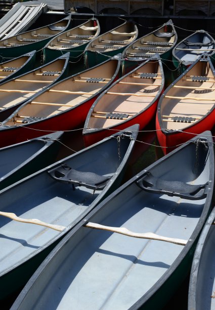 数组的独木舟图片下载