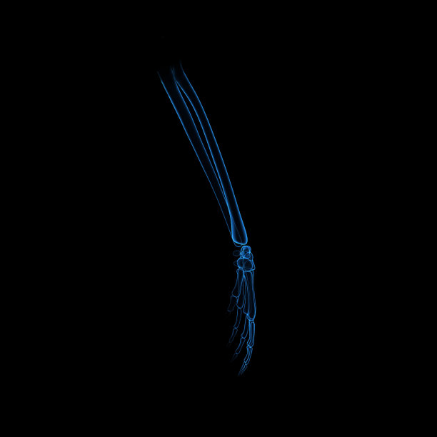 骨架的手图片下载