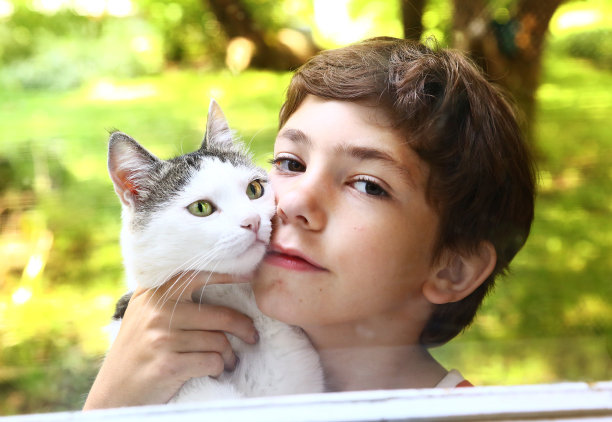 青春期前英俊的男孩与猫近距离照片图片下载