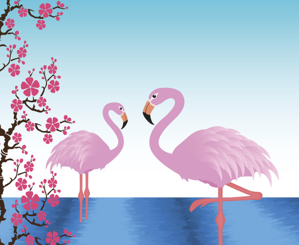 池塘里有两只火烈鸟图片下载