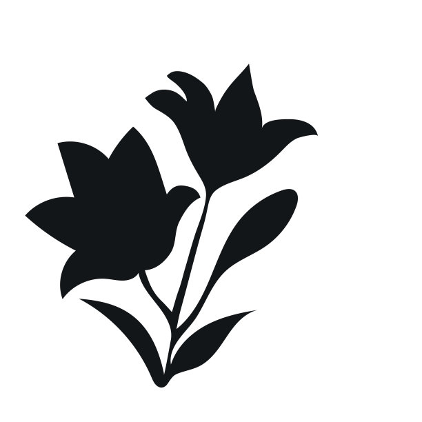 轮廓莉莉。素材图片