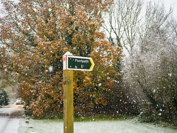 雪地里的人行道标志图片下载