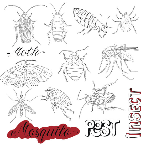 蟑螂及害虫集合图片下载