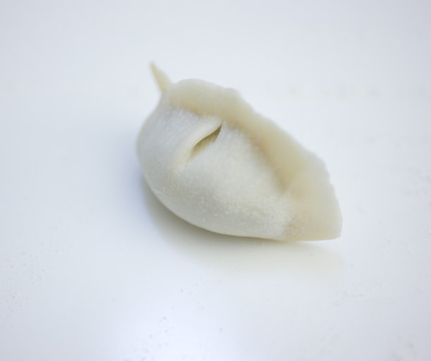 中国饺子图片下载