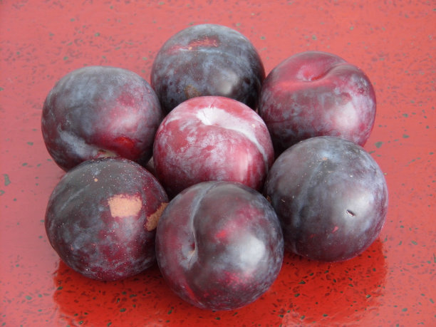 桌上水果的高角度视图图片下载