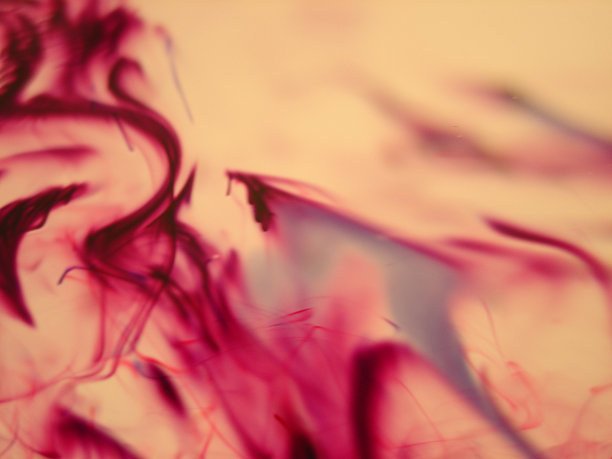 紫色的英镑图片下载