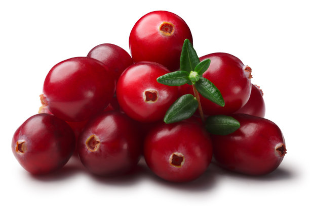 一堆蔓越莓和树叶，还有小路图片下载