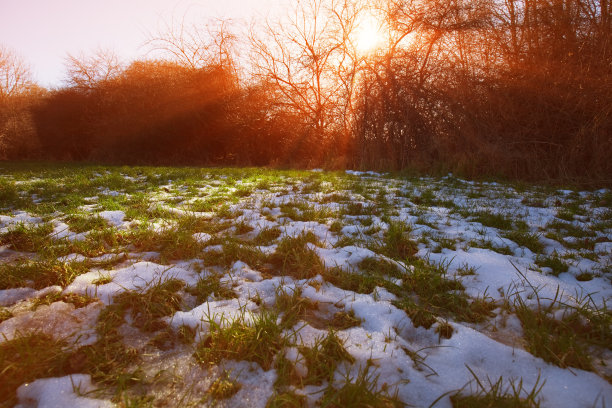 冬天的太阳图片下载