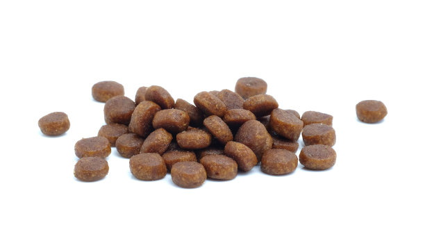 白色背景的狗的减肥药。图片下载