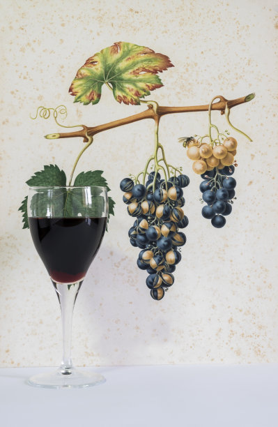 装饰背景上的一杯红酒图片下载