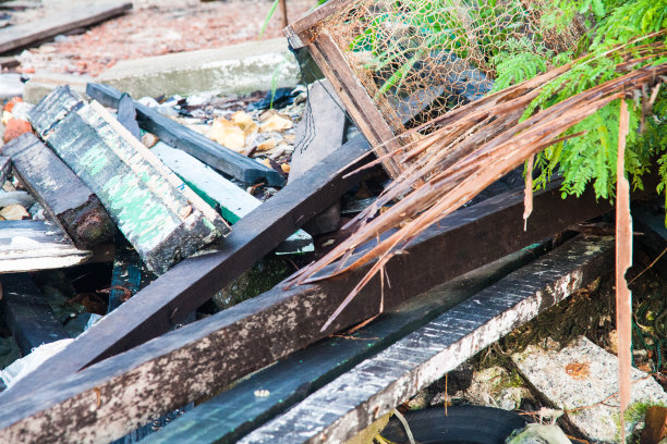 垃圾场照片，以推广回收项目图片下载