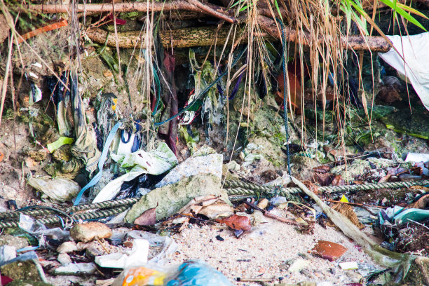 垃圾场照片，以推广回收项目图片下载