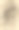 戴手套、香水瓶和鲜花的静物画图片下载