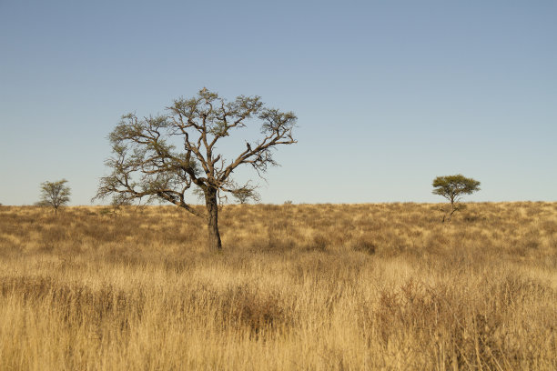 沙漠景观图片下载