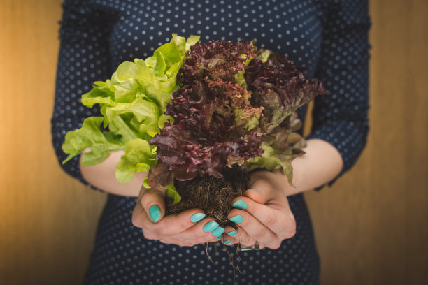 一位女农民拿着莴苣图片下载
