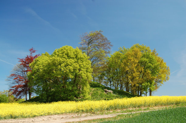 古坟图片下载