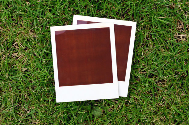 瞬间印在绿草上图片下载