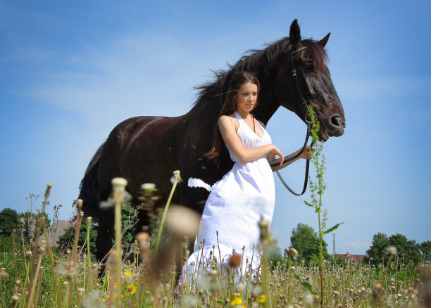 动物和女孩图片下载
