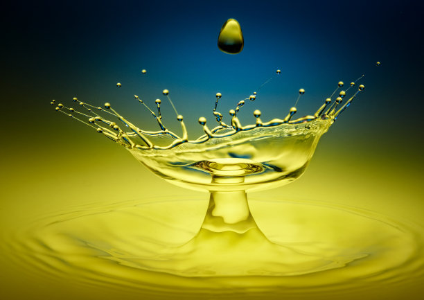 凯尔奇图片下载