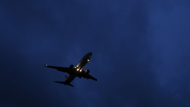 飞机于晚上4点在悉尼机场降落图片下载