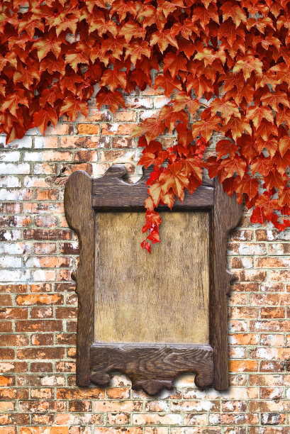 贴在爬满常春藤的砖墙上的木布告牌图片下载