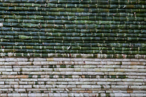 尼帕棕榈的图案图片下载