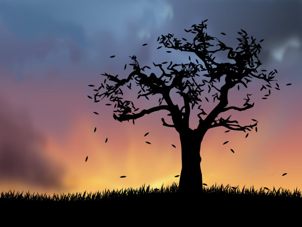 秋季景观有落叶树图片下载