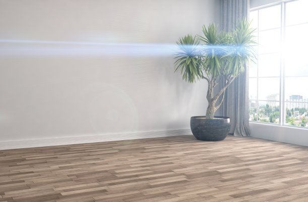 内部有大窗户。三维演示图片下载