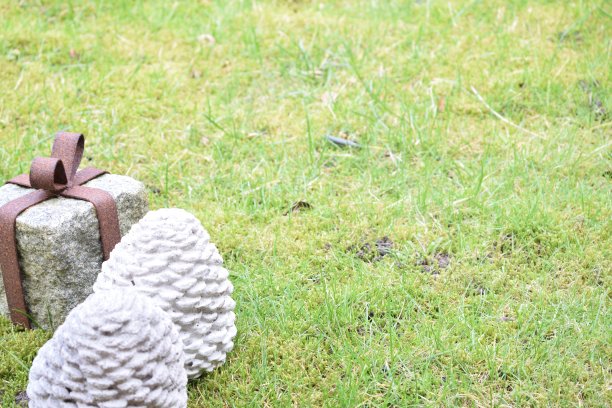 花园装饰图片下载