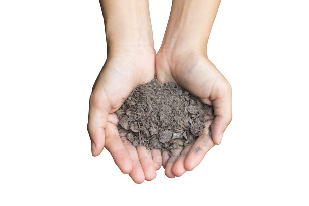 手握干燥土壤图片下载