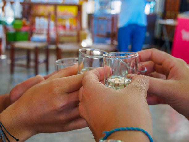 朋友们在秘鲁的伊卡葡萄园里举杯并品尝皮斯科图片下载