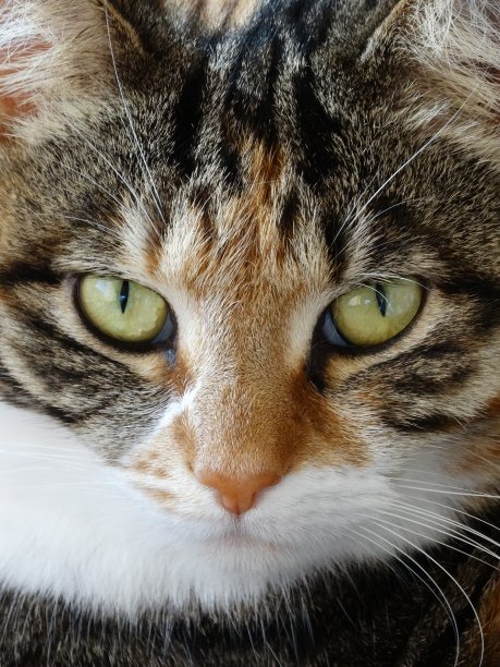 对你的眼睛图片下载