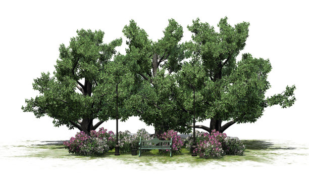 白色背景上孤立的小公园图片下载