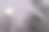 树梢上的满月。图片下载