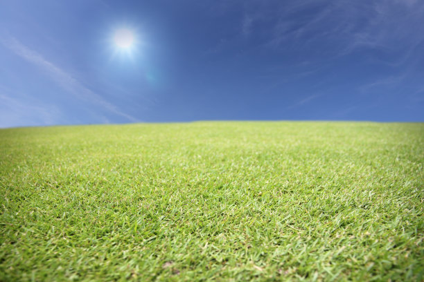 绿色草地图片下载