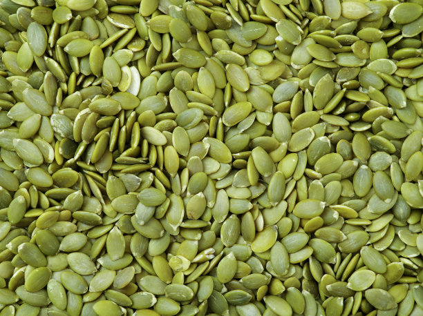 南瓜种子背景素材图片