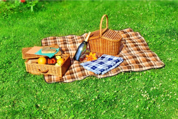 暑假野餐场景图片下载