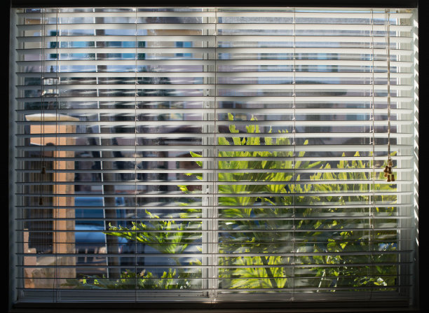 阳光透过白色的百叶窗溅向窗户图片下载