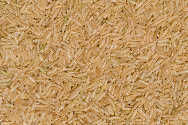 糙米的背景图片下载